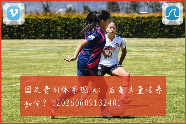 国足青训体系现状:后备力量培养如何?_20260609132401